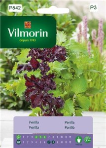 Perilla / Shiso/ Mięta japońska 0,5g nasion