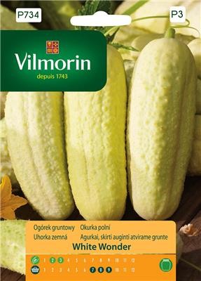 imagehandler (73).jpg