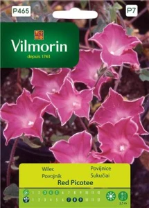 Wilec purpurowy Red Picotee 1g nasion