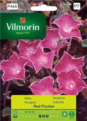 Wilec purpurowy Red Picotee 1g nasion