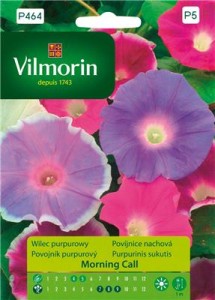 Wilec purpurowy Morning Call 1g mieszanka nasiona