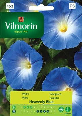 Wilec purpurowy niebieski Heavenly Blue (Pharbitis purpurea) 1g nasion