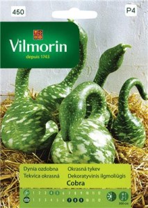 Dynia ozdobna Cobra 6z nasiona