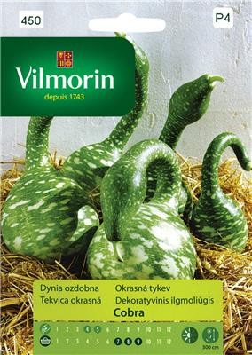 Dynia ozdobna Cobra 6 nasion