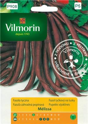 Fasola szparagowa tyczna fioletowa Melissa 10g Vilmorin agromarket24.pl