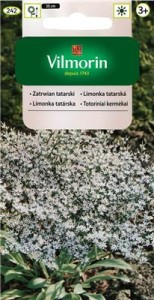 Zatrwian tatarski 0,2g (Limonium tataricum) nasiona otarte 