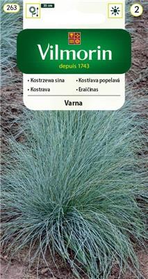 trawa ozdobna kostrzewa sina Varna Vilmorin Garden agromarket24.pl.jpg