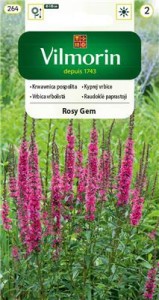 Krwawnica pospolita Rosy Gem 0,3g (Lythrum salicara) nasiona