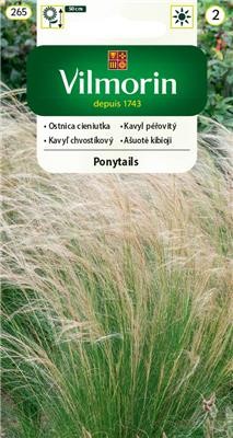 trawa ozdobna ostnica cieniutka Ponytails Vilmorin Garden agromarket24.pl.jpg