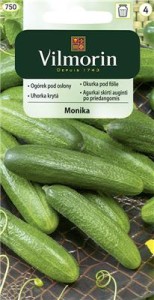 Ogórek partenokarpiczny Monika 1g do gruntu i pod osłony 
