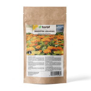 Nagietek lekarski 100g (Calendula officinalis)