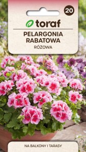 Pelargonia rabatowa różowa F2 0,05g (Pelargonium zonale)