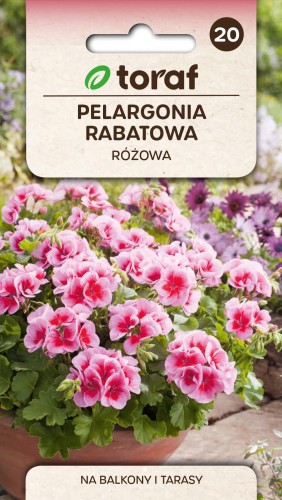 NEW-LOGO-Pelargonia-rabatowa-rozowa.jpg