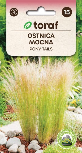 NEW-LOGO-Ostnica-mocna-PONY-TAILS-1.jpg