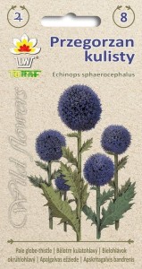 Przegorzan kulisty 1g ( Echinops  sphaerocephalus)
