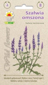 Szałwia omszona 0,2g (Salvia nemorosa)