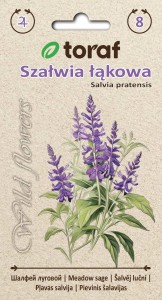 Szałwia łąkowa 0,2g (Salvia pratensis L.)