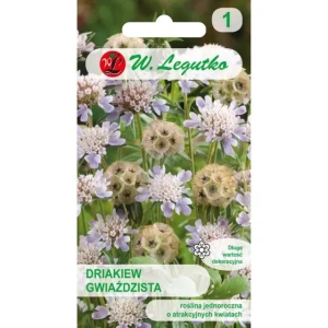 Driakiew gwiażdzista liliowa 1g (Scabiosa stellata) nasiona