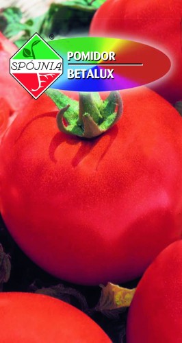pomidor gruntowy karłowy betalux.jpg