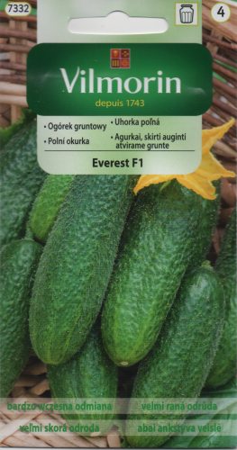 OGÓREK GRUNTOWY EVEREST F1.png