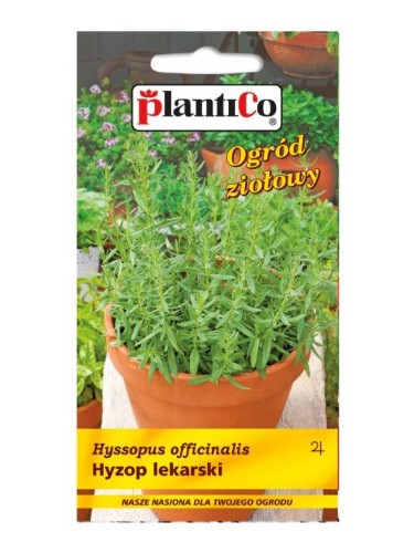 hyzop plantico.jpg