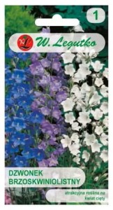 Dzwonek brzoskwiniolistny 0,3g ( Campanula persicifolia) nasiona  