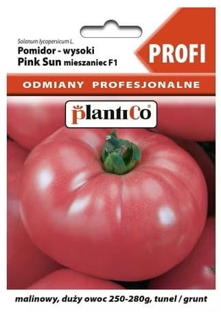 pomidor  malinowy szklarniowy pink_sun_f1.jpg