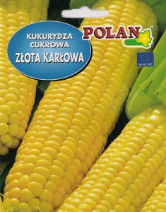 Kukurydza cukrowa Złota karłowa 20g nasiona  