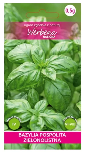 Bazylia-Zielonolistna_05g.png.webp