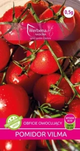 Pomidor karłowy Vilma 0,5g pod osłony i do gruntu