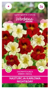 Nasturcja karłowa Night@Day 2g (Tropaeolum peltophorum) nasiona  