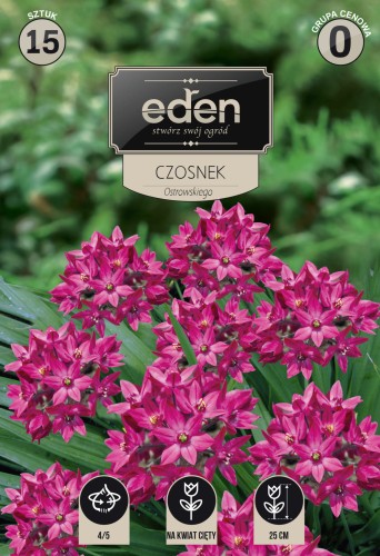 Czosnek Ostrowskiego  kapers  Vilmorin Eden