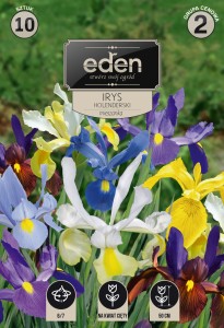 Irys holenderski mix  kapers 10 cebulek 6/7