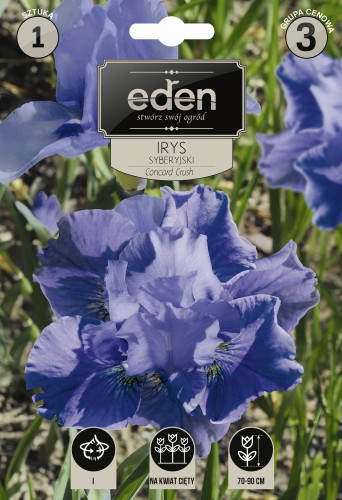 irys syberyjski concord crush-VIL-209-18-EDEN-kapers-PSOc3-1.jpg