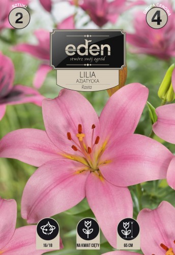 lilia rosita- kapers Vilmorin Eden