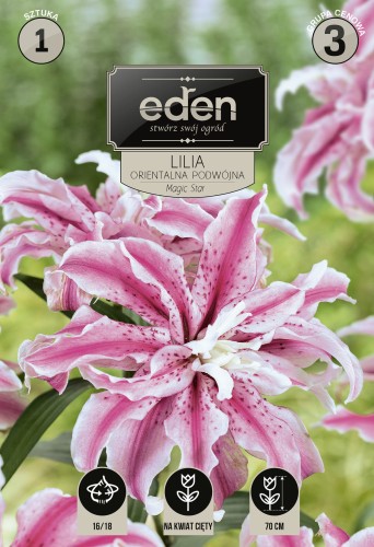 lilia magic star- kapers Vilmorin Eden