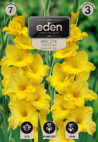 mieczyk jacksonville gold- kapers  Vilmorin Eden