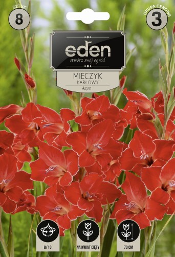 mieczyk atom-VIL-206-18-EDEN-kapers-PSOc3-1.jpg