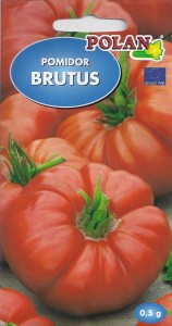 Pomidor Brutus 0,5g nasiona HIT