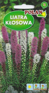 Liatra kłosowa mix 0,5g (Liatris spicata) nasiona