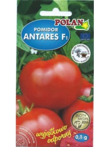 Pomidor Antares F1 0,1g  (nasiona) bardzo odporny na choroby 