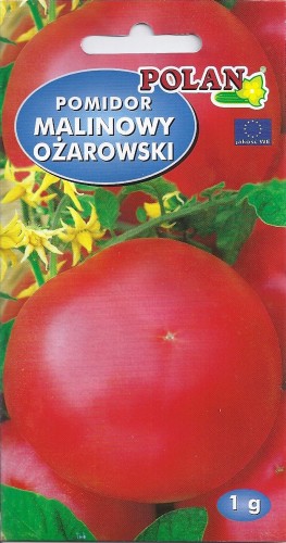 ppomidor malinowy oz.jpg