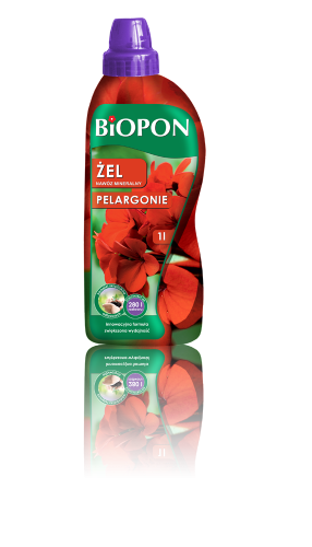 Pelargonie 1l m - 18.12.14.png