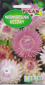 Nieśmiertelnik różowy jasny, Kocanka 1g (Helichrysum bracteatum monstrosum) nasiona 