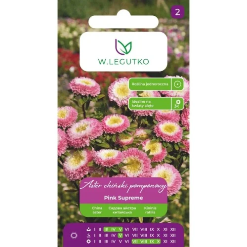 aster-chinski-pomponowy-lavender-supreme-lawendowy-1g.webp