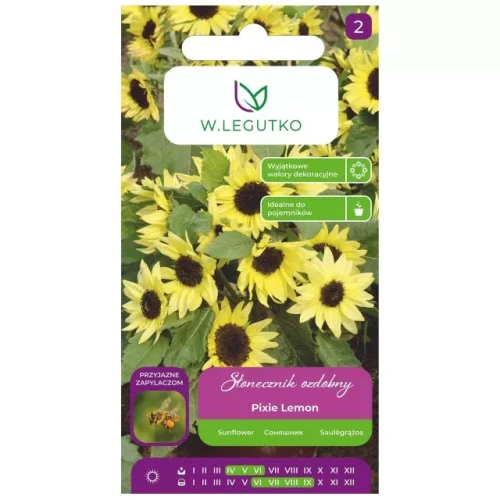 slonecznik-ozdobny-karlowy-pixie-lemon.webp