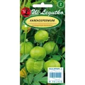 kardiospermum-zielone-owoce.webp