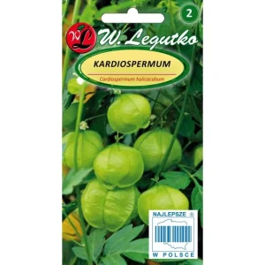 Kardiospermum 1g (Cardiospermum halicacabum)