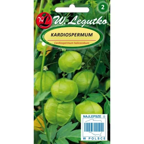 kardiospermum-zielone-owoce.webp