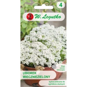 Ubiorek wieczniezielony biały 0,5g (Iberis sempervirens)
